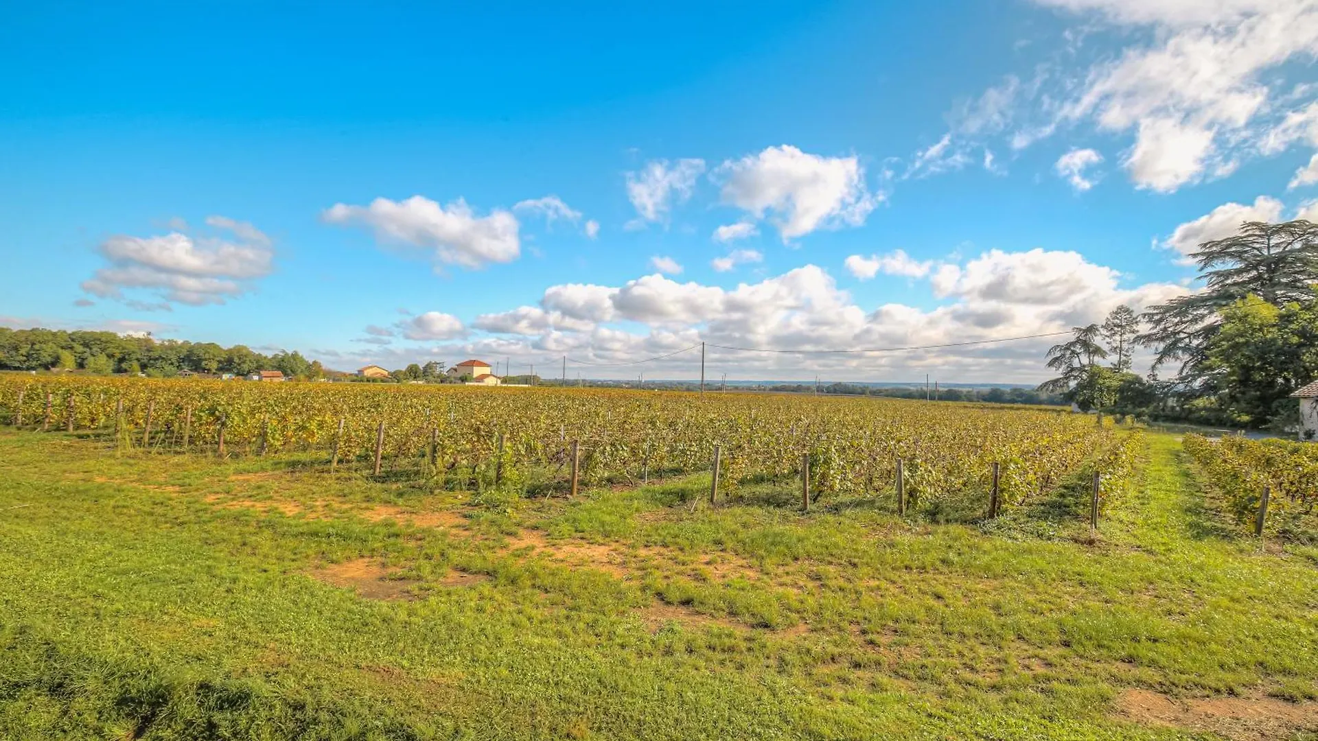 New Maison Au Coeur Des Vignes Charentay